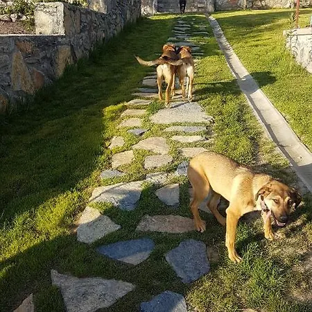 Olive Garden Retreat * Milas