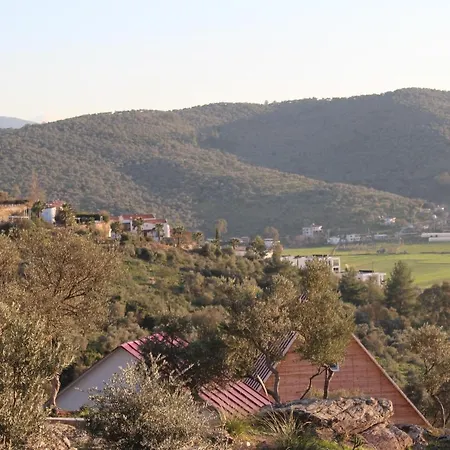בית כפרי Olive Garden Retreat *