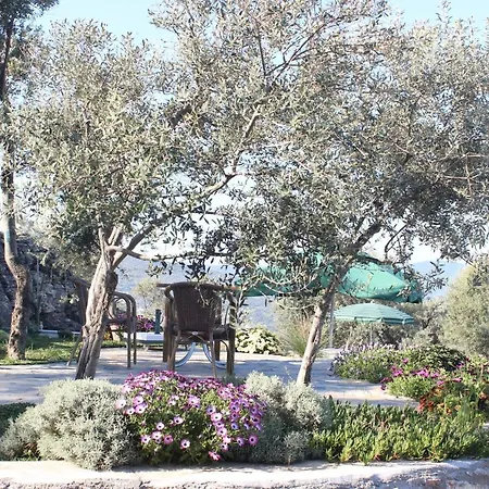 בית כפרי Olive Garden Retreat Milas